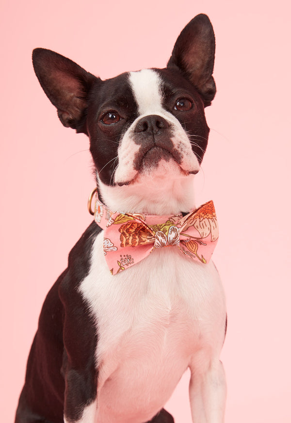 DOG BOW TIE FLORAL PRINT PINK