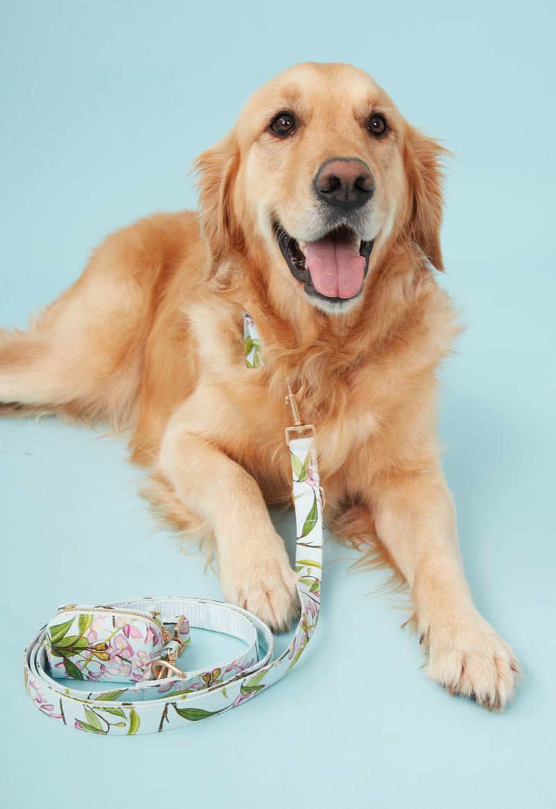 DOG WASTE BAG WATERCOLOUR FLORAL AQUA