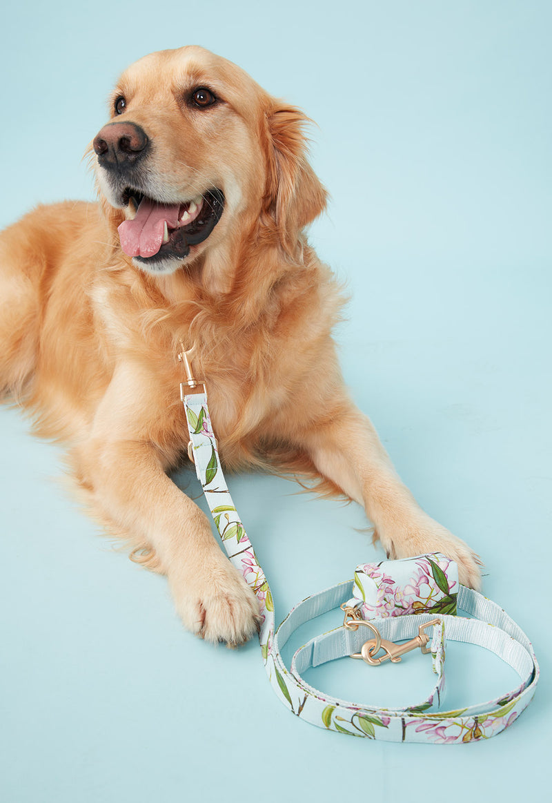 DOG WASTE BAG WATERCOLOUR FLORAL AQUA