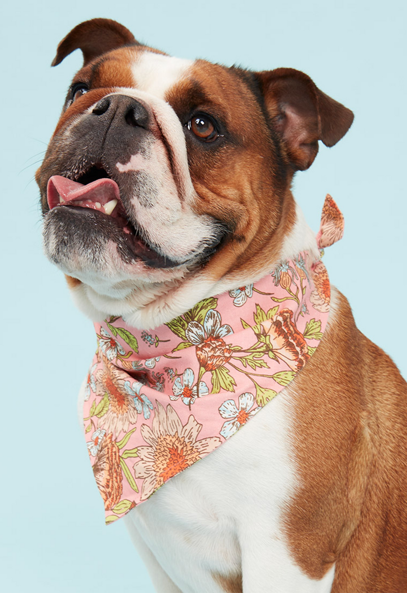 DOG BANDANA FLORAL PRINT PINK