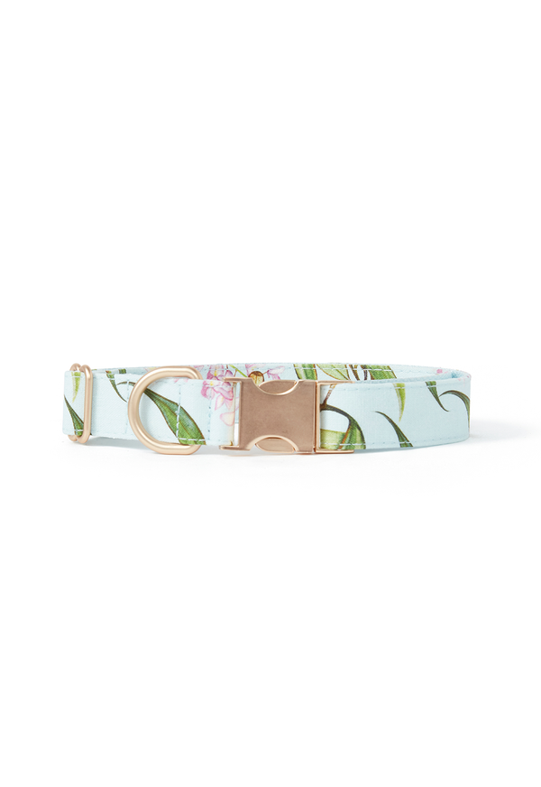 DOG COLLAR WATERCOLOUR FLORAL AQUA