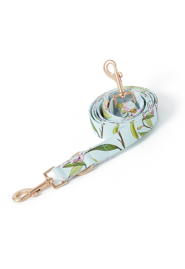 DOG LEAD WATERCOLOUR FLORAL AQUA