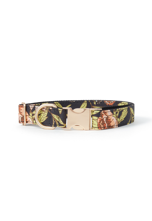 DOG COLLAR FLORAL PRINT BLACK