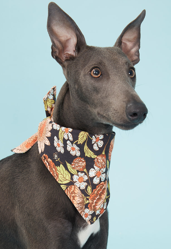 DOG BANDANA FLORAL PRINT BLACK